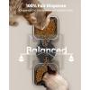 imageoneisall Automatic Cat Feeder with 5G WiFi Automatic Cat Food Dispenser for 2 Cats Small Pets 20 Cups5L Timed Dry Food Dispenser with APP ControlBlack