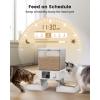 imageoneisall Automatic Cat Feeder with 5G WiFi Automatic Cat Food Dispenser for 2 Cats Small Pets 20 Cups5L Timed Dry Food Dispenser with APP ControlWhite