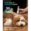 imageoneisall Dog Clippers for Grooming Thick HairLow Noise Dogs Grooming Kit with Stainless Steel BladeDog Shaver for ThickMattedKnottedFineWaveCurly HairPC18