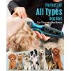 imageoneisall Dog Clippers for Grooming for Thick Coats with Detachable Stainless Steel Blade Cordless Rechargeable Dog Grooming Kit for Full Body DTJ001