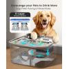 imageoneisall Dog Water Fountain for Large Dogs 10L26Gal Dog Fountain Water Bowl with MultiFiltration ampamp Deeper Drinking Aera Large pet Water Fountain with Water Window ampamp LED UltraQuiet10L Dog Fountain2 Sets Filters
