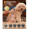 imageoneisall Small Dog Clippers and Paw Trimmer with Low Noise 4  in  1 Cordless Dog Grooming Kit with 3  Level Speed Clippers 7000 RPM for Grooming Thick Hair Waterproof Shaver for Dogs and CatsSilver